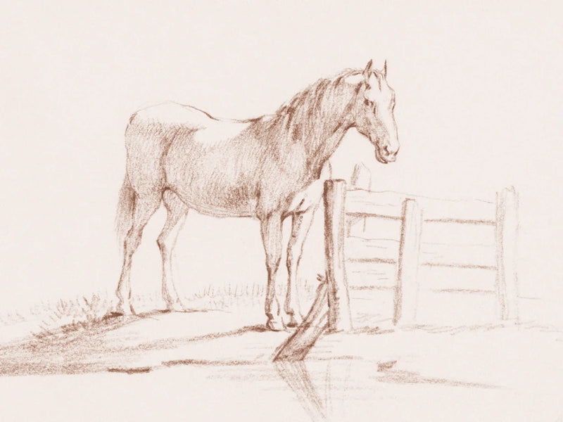 Standing Horse at a Fence by Public Domain
