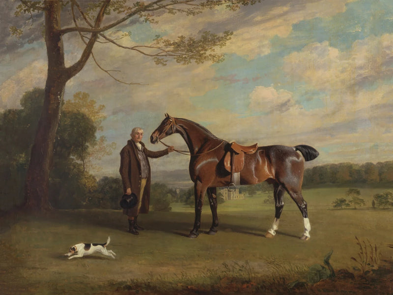 The Earl of Shrewsburys Groom Holding a Hunter by Public Domain