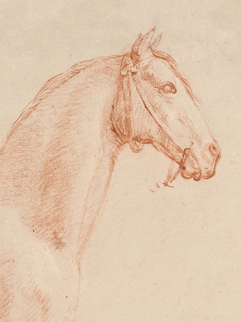 The Horse Aga by Public Domain