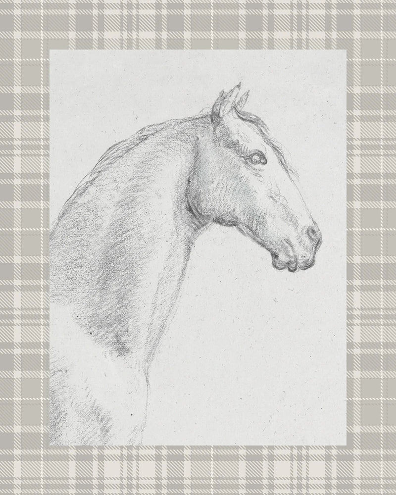 The Horse Aga Black and White v3 by Public Domain