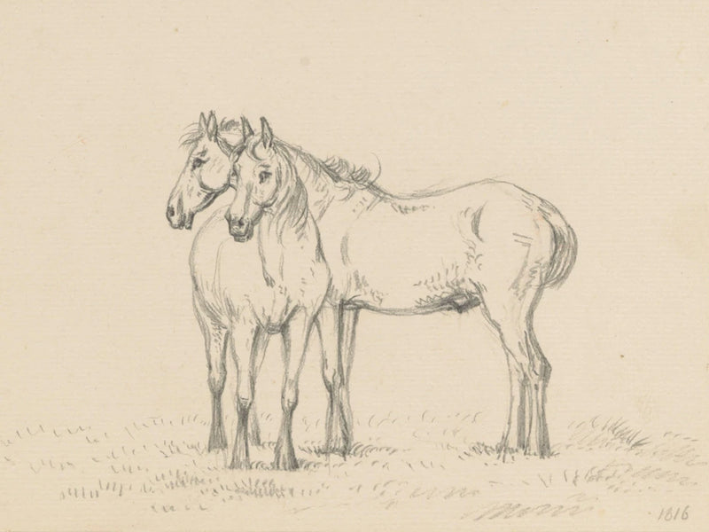 Two Horses Standing Together by Public Domain
