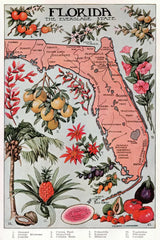 Vintage Florida Botanical Map by Public Domain. SKU 94631h. Archival Giclee Fine art print for wall decor.