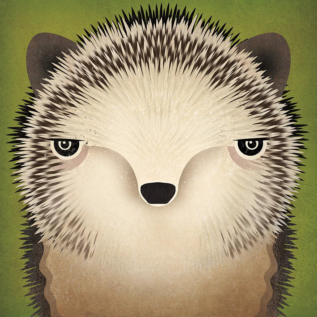 Baby Hedgehog by Ryan Fowler. SKU 24549a. Archival Giclee Fine art print for wall decor.