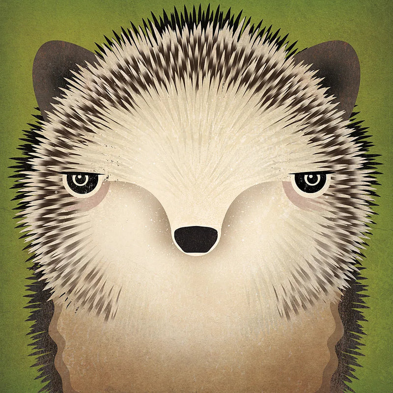 Baby Hedgehog by Ryan Fowler. SKU 24549a. Archival Giclee Fine art print for wall decor.