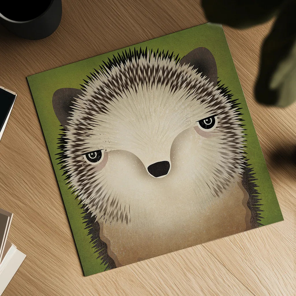 Baby Hedgehog by Ryan Fowler. Shown as a detailed flat fine art print, highlighting archival giclee quality. Available as an archival giclee rolled canvas, fine art paper, or poster print. SKU 24549a.