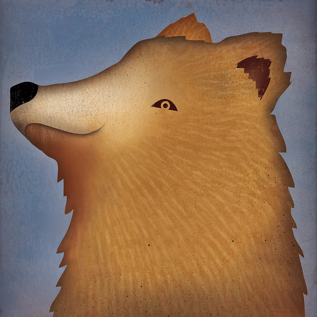 Brown Bear Wow by Ryan Fowler. SKU 12198a. Archival Giclee Fine art print for wall decor.