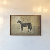 Cheval Noir v4 by Ryan Fowler. shown as a paper print in a natural frame. Available as a archival giclee rolled canvas, fine art paper, or poster print. SKU 22911i.