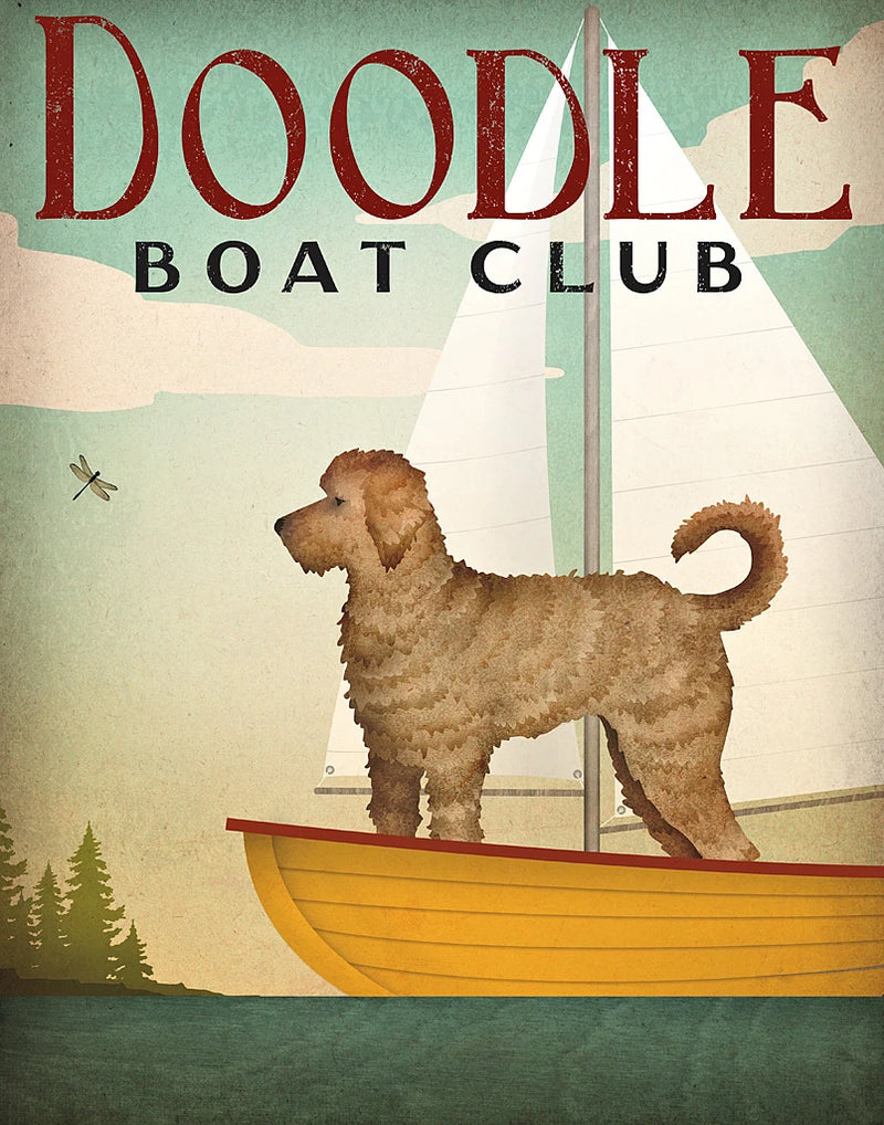 Doodle Sail by Ryan Fowler
