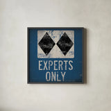 Experts Only Blue by Ryan Fowler. Shown in a sleek black glass frame for a contemporary gallery look. Available as an archival giclee rolled canvas, fine art paper, or poster print. SKU 11391a.
