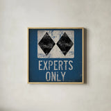 Experts Only Blue by Ryan Fowler. Shown in a natural wood glass frame for a timeless modern aesthetic. Available as an archival giclee rolled canvas, fine art paper, or poster print. SKU 11391a.