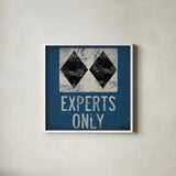 Experts Only Blue by Ryan Fowler. Shown in a crisp white glass frame for a clean and minimalist style. Available as an archival giclee rolled canvas, fine art paper, or poster print. SKU 11391a.