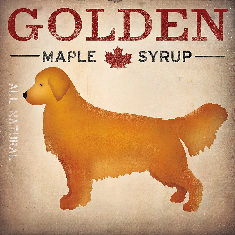 Golden Dog at Show No VT by Ryan Fowler. SKU 31006a. Archival Giclee Fine art print for wall decor.