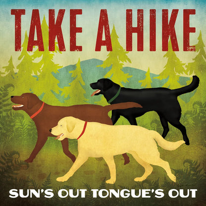 Take a Hike Lab by Ryan Fowler. SKU 79477a. Archival Giclee Fine art print for wall decor.