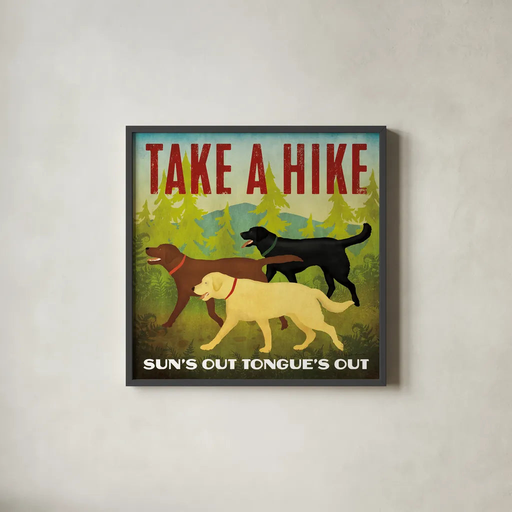 Take a Hike Lab by Ryan Fowler. Shown in a sleek black glass frame for a contemporary gallery look. Available as an archival giclee rolled canvas, fine art paper, or poster print. SKU 79477a.