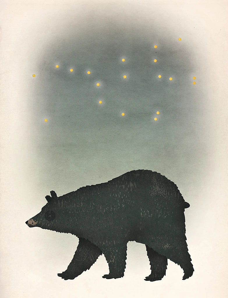 Ursa Major by Ryan Fowler