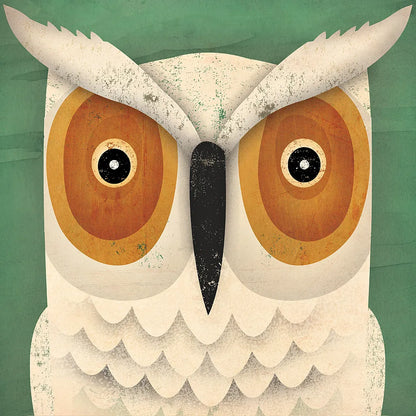 White Owl by Ryan Fowler. SKU 22895a. Archival Giclee Fine art print for wall decor.