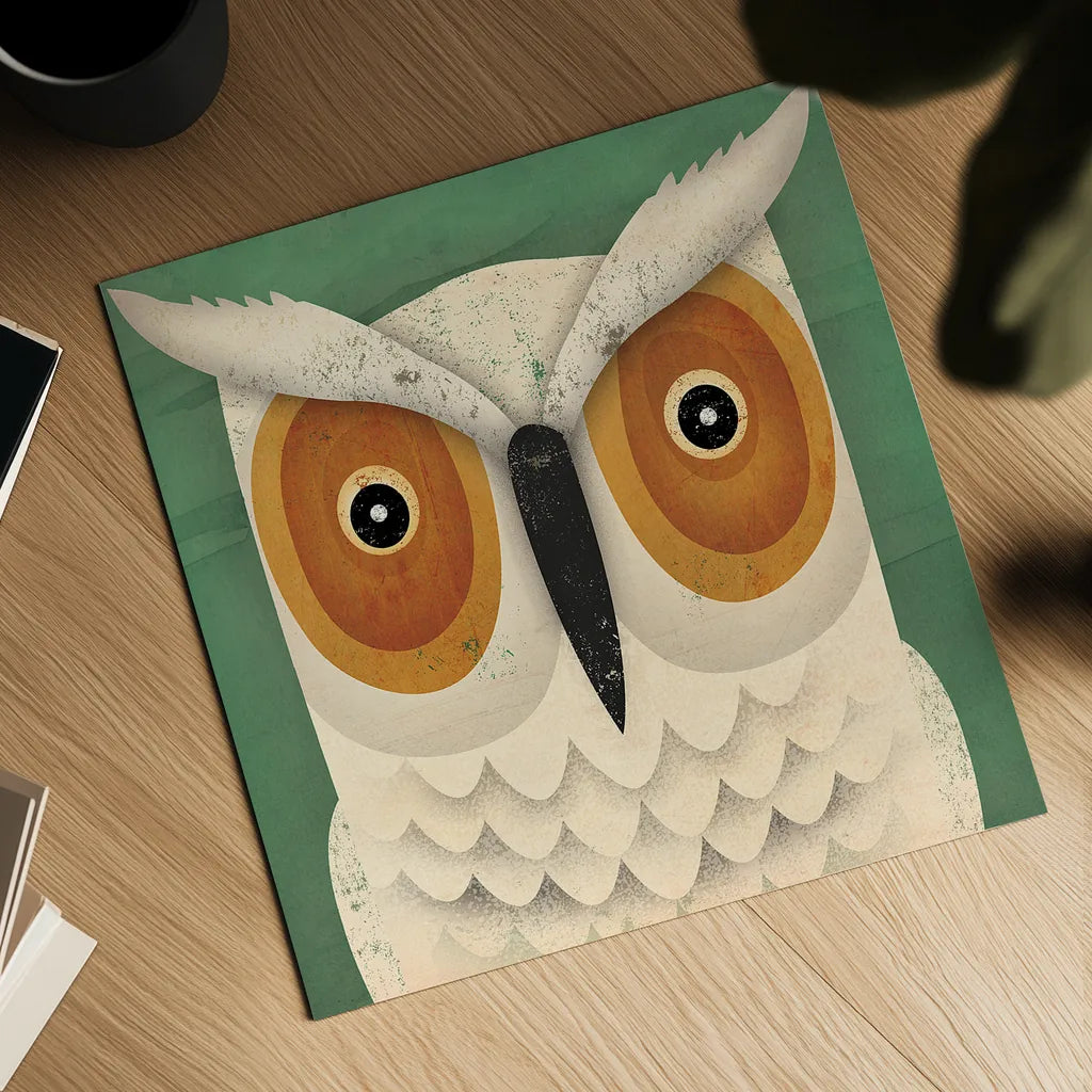 White Owl by Ryan Fowler. Shown as a detailed flat fine art print, highlighting archival giclee quality. Available as an archival giclee rolled canvas, fine art paper, or poster print. SKU 22895a.