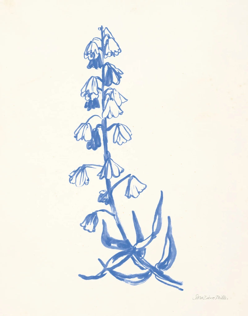Bluebells I by Sara Zieve Miller