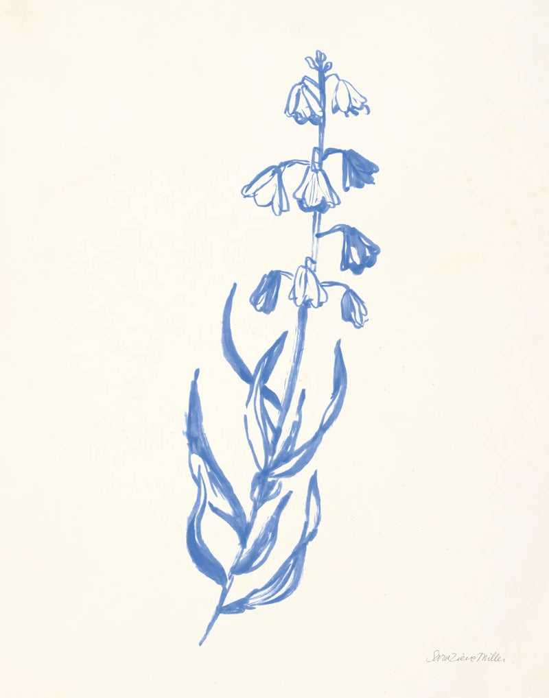 Bluebells II by Sara Zieve Miller