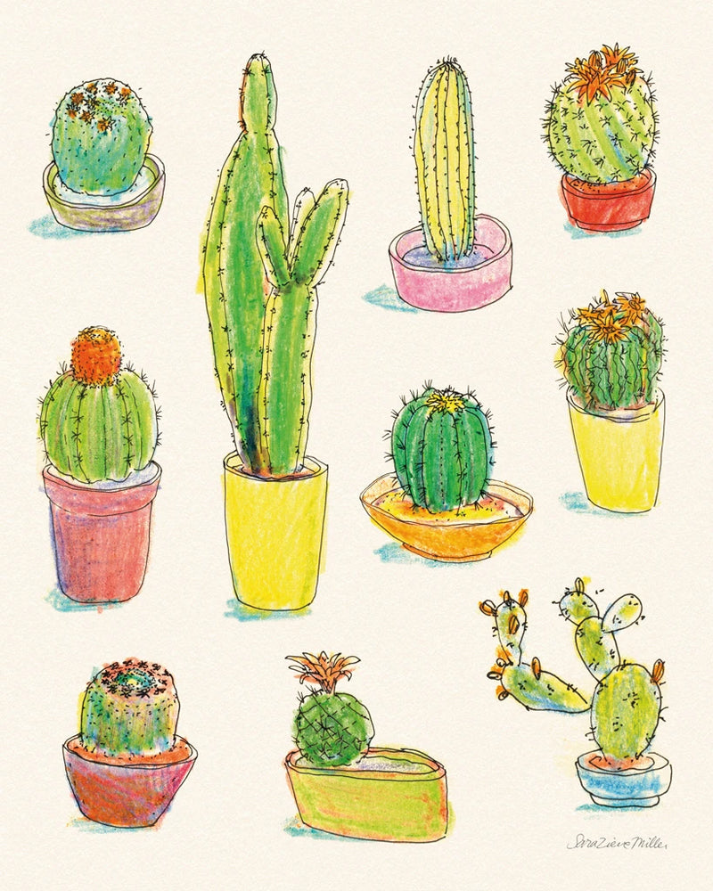 Cacti Garden I by Sara Zieve Miller