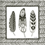 Geo Feathers Square III by Sara Zieve Miller. SKU 18248a. Archival Giclee Fine art print for wall decor.