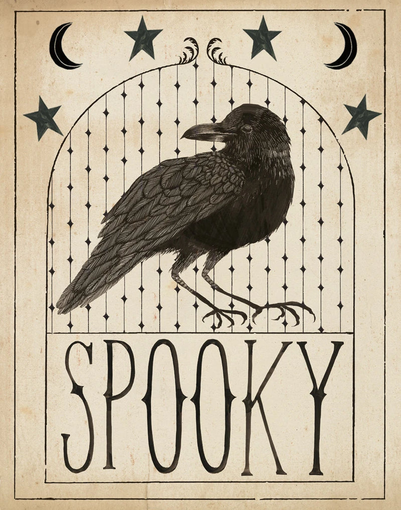 Hocus Pocus I Stars by Sara Zieve Miller