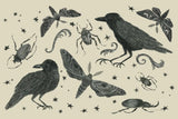 Hocus Pocus V by Sara Zieve Miller. SKU 37422i. Archival Giclee Fine art print for wall decor.