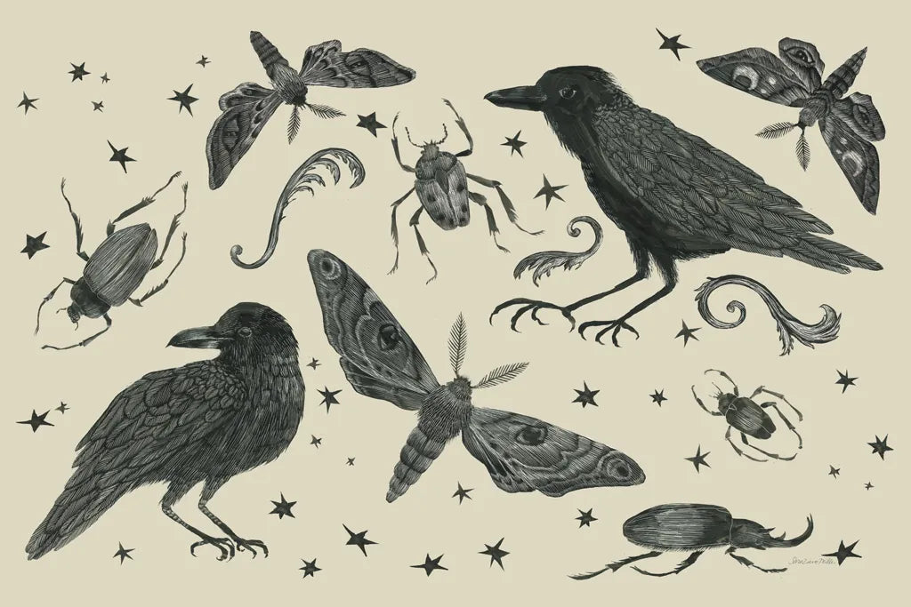 Hocus Pocus V by Sara Zieve Miller. SKU 37422i. Archival Giclee Fine art print for wall decor.