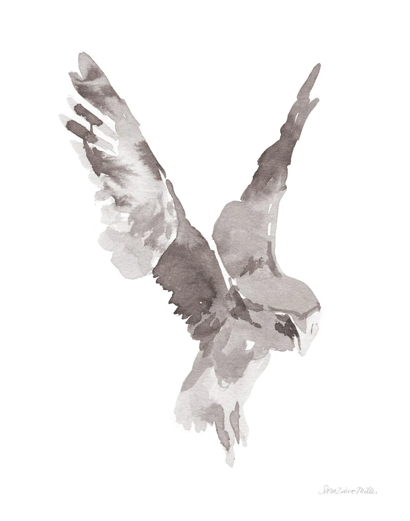 In Flight by Sara Zieve Miller