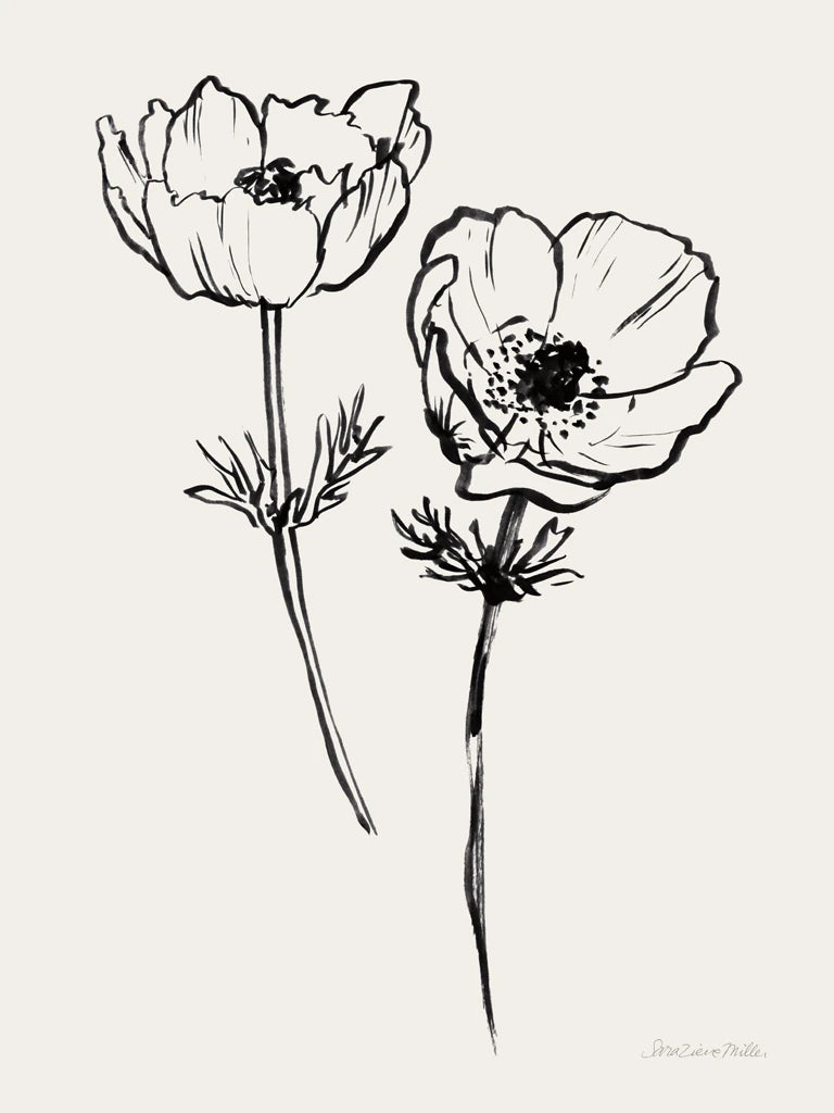 Ink Anemones I Black by Sara Zieve Miller