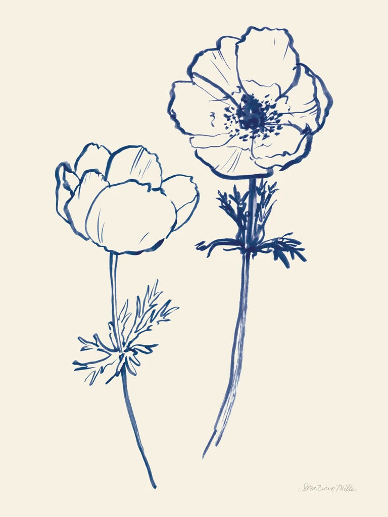 Ink Anemones II by Sara Zieve Miller