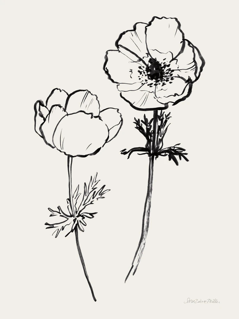 Ink Anemones II Black by Sara Zieve Miller