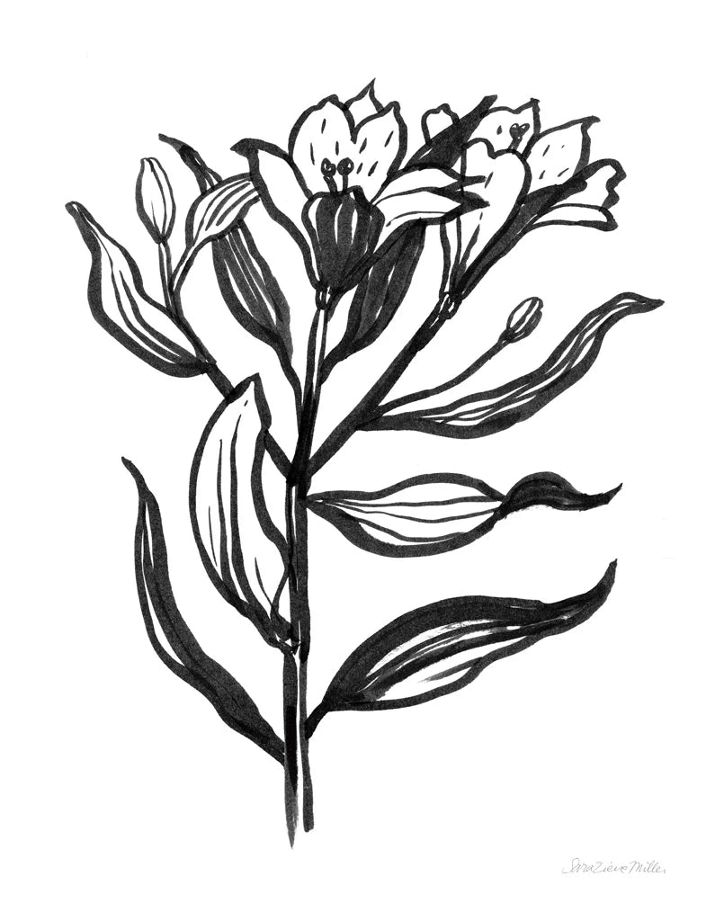 Ink Flower I by Sara Zieve Miller