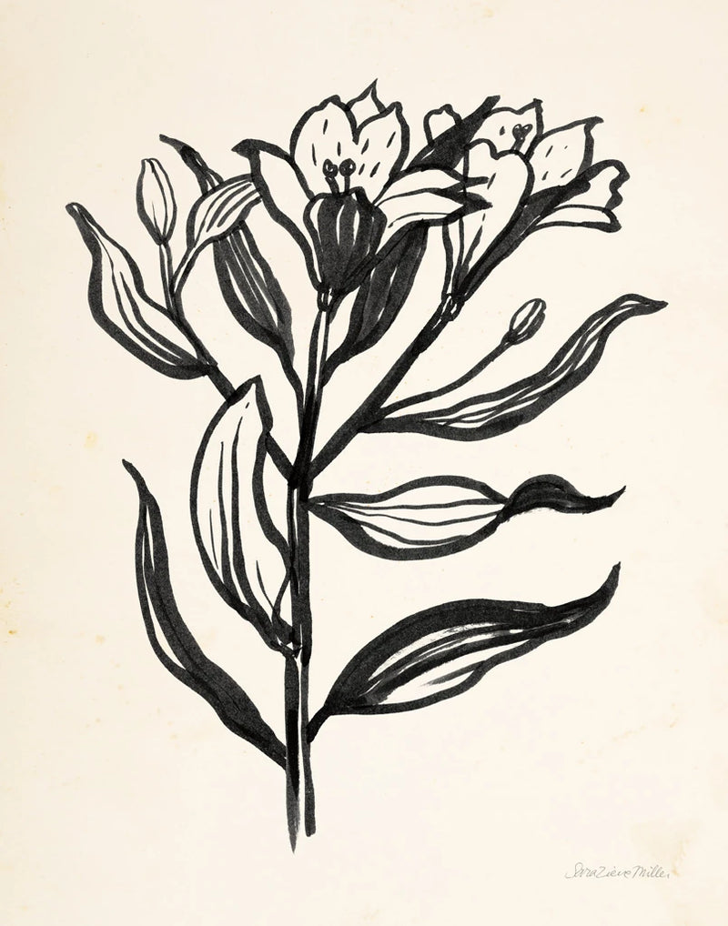 Ink Flower I Cream by Sara Zieve Miller