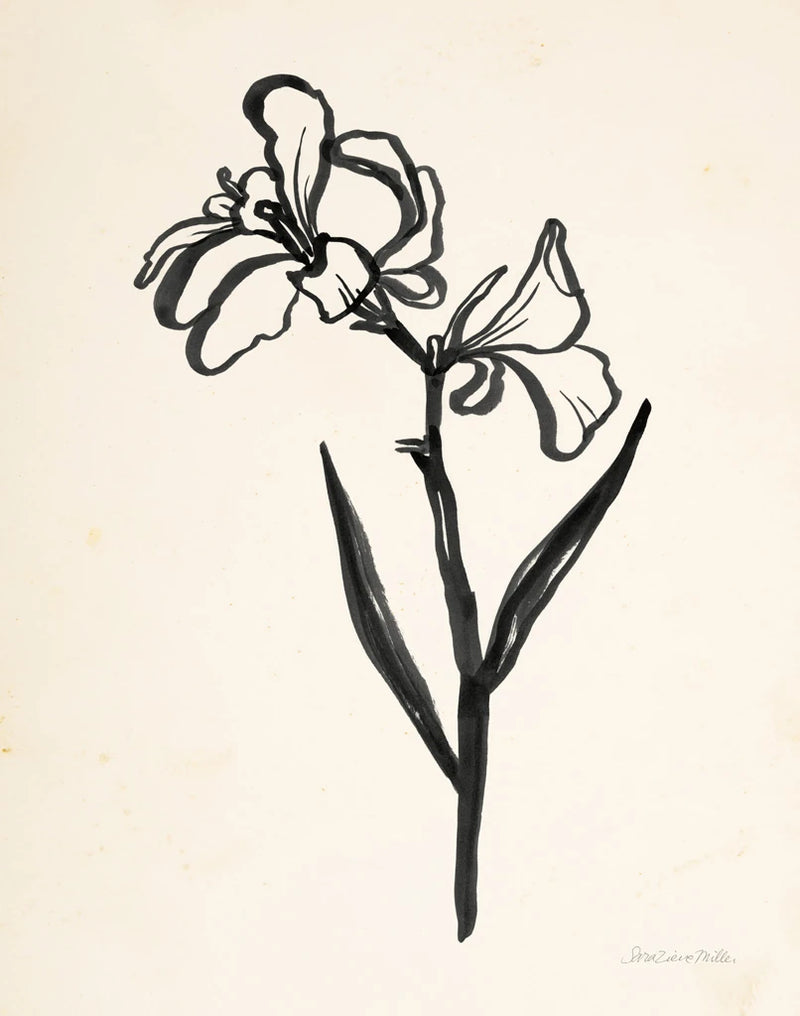 Ink Flower II Cream by Sara Zieve Miller