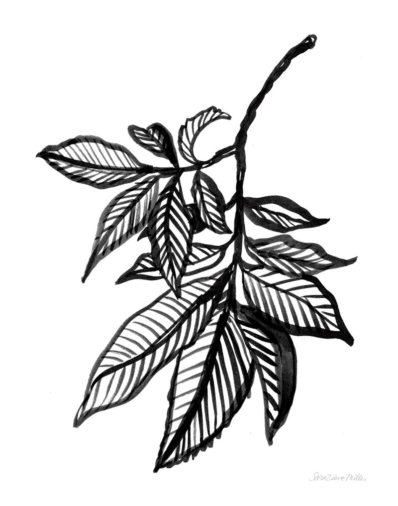 Ink Leaves by Sara Zieve Miller