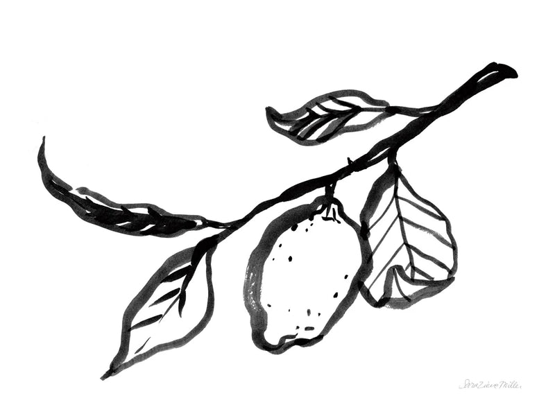 Ink Lemon by Sara Zieve Miller