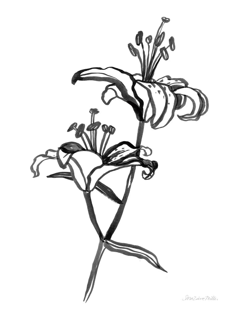 Ink Lilies I by Sara Zieve Miller