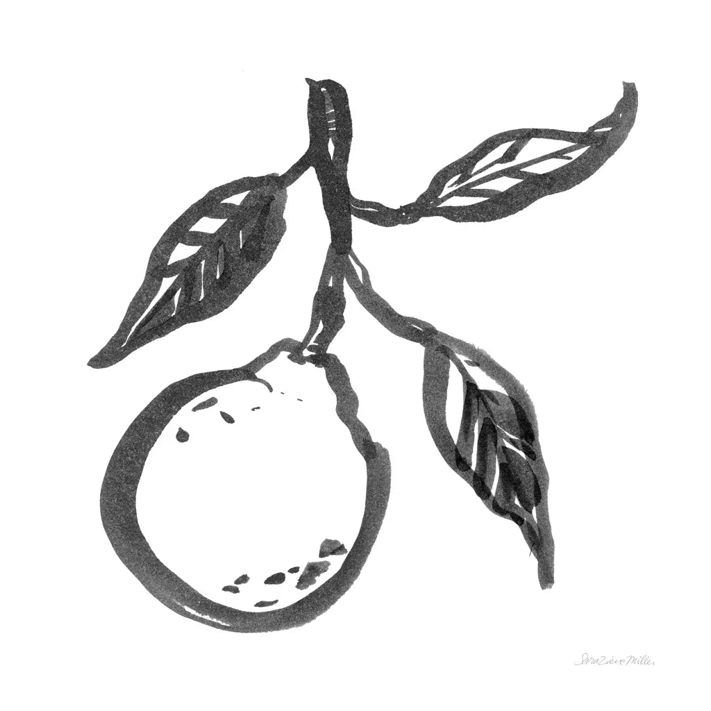 Ink Orange II by Sara Zieve Miller. SKU 67963a. Archival Giclee Fine art print for wall decor.