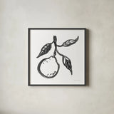Ink Orange II by Sara Zieve Miller. Shown in a sleek black glass frame for a contemporary gallery look. Available as an archival giclee rolled canvas, fine art paper, or poster print. SKU 67963a.