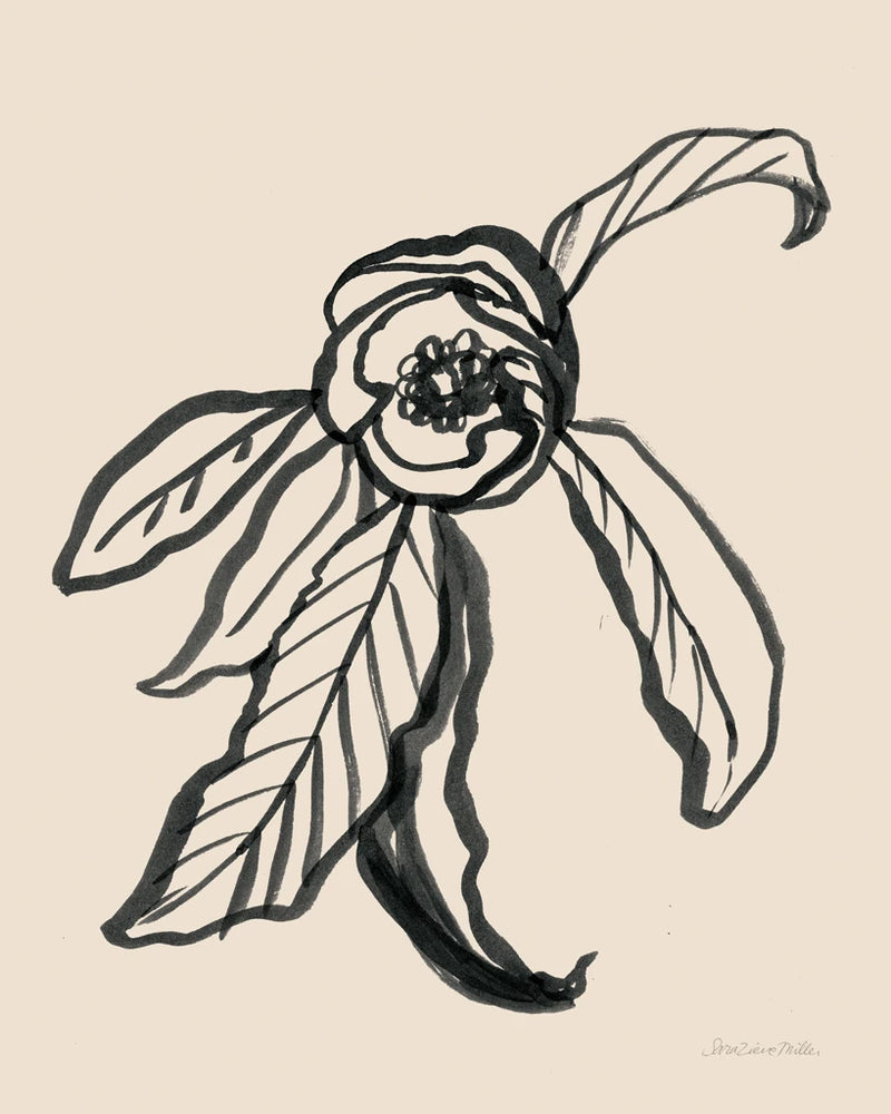 Ink Sketch Flower by Sara Zieve Miller