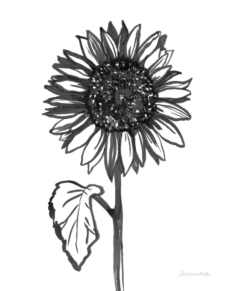 Ink Sunflower by Sara Zieve Miller