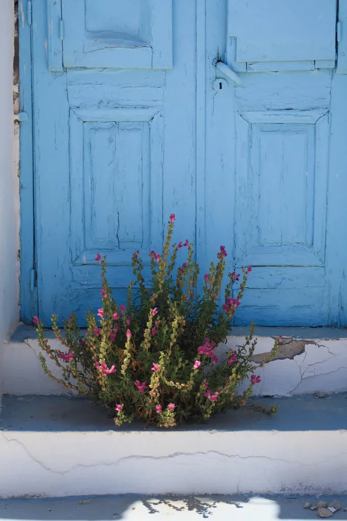 Santorini I by Sara Zieve Miller. SKU 32111h. Archival Giclee Fine art print for wall decor.