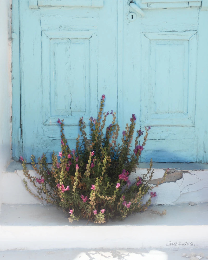 Santorini I by Sara Zieve Miller