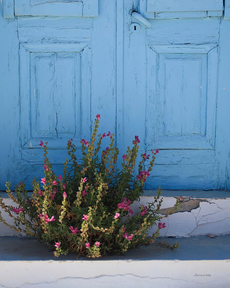 Santorini I Crop by Sara Zieve Miller