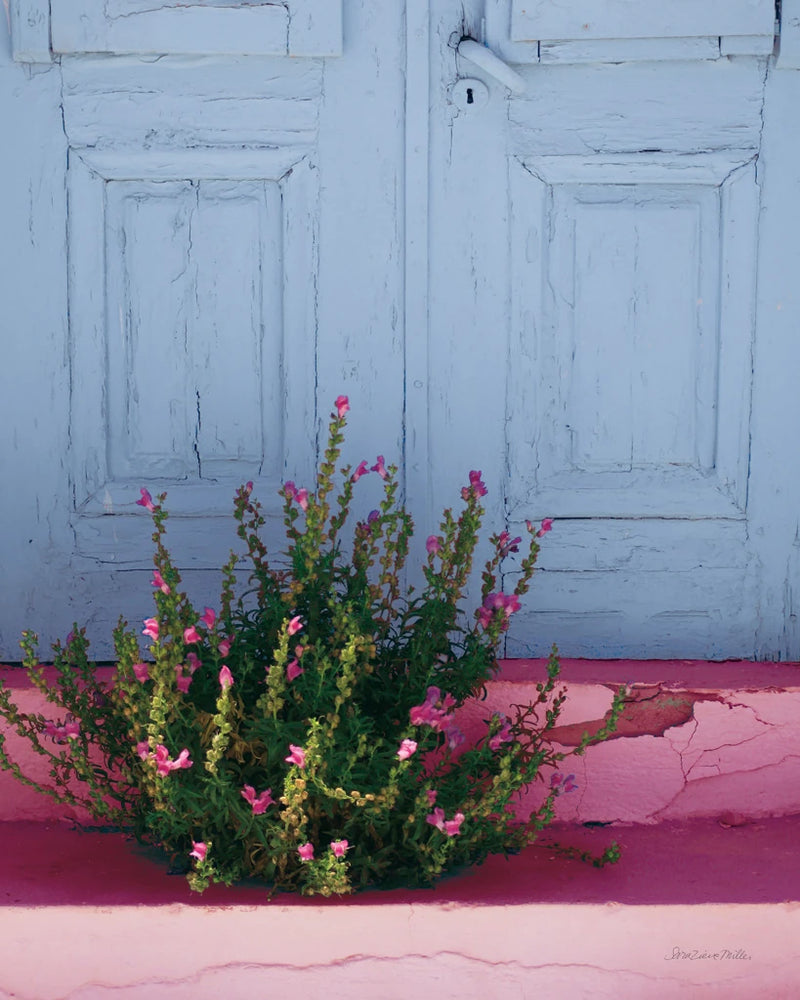 Santorini I Spring Crop by Sara Zieve Miller