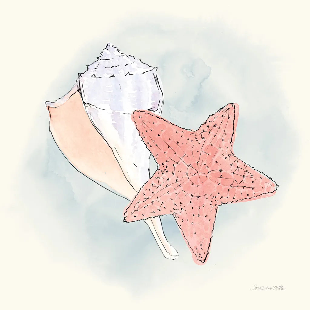 Sea Life II by Sara Zieve Miller. SKU 37040a. Archival Giclee Fine art print for wall decor.