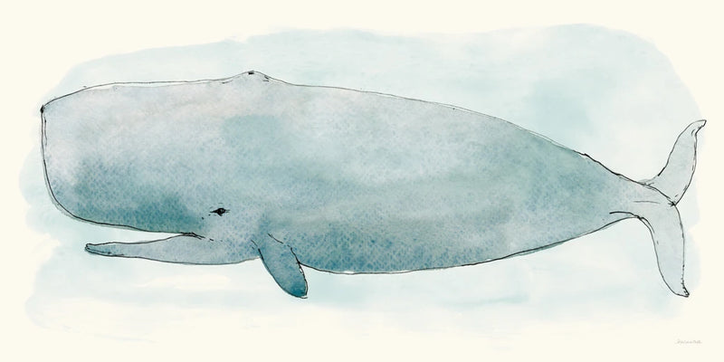 Sea Life V by Sara Zieve Miller