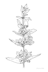 Sketched Flowers by Sara Zieve Miller. SKU 67952h. Archival Giclee Fine art print for wall decor.