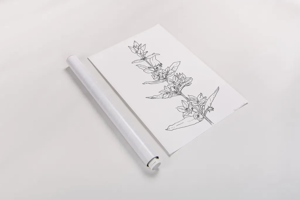 Sketched Flowers by Sara Zieve Miller. shown as a rolled paper print. Available as archival giclee rolled canvas, fine art paper, or poster print. SKU 67952h.